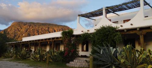 Cafayate Cama Y Desayuno | Hotel Texas
