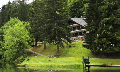 Central Serbia Hotel | Hotel Trayal