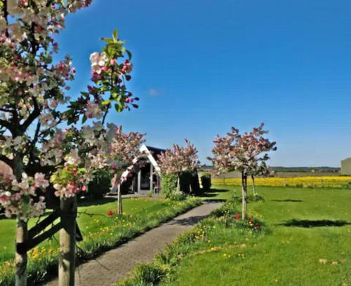 Warmenhuizen Casa | Hotelhuisje Warmenhuizen #D