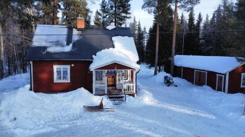 Blattnicksele Casa | House Arctic Wolf