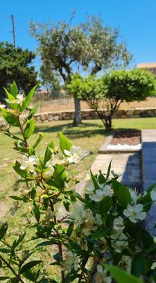 Castiadas Casa | House Castiadas tra Mare e Montagna