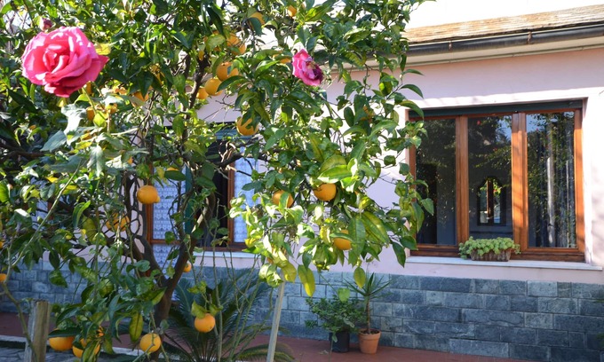 Sant'Ilario Casa | Casa en el verde, a 100 metros del mar