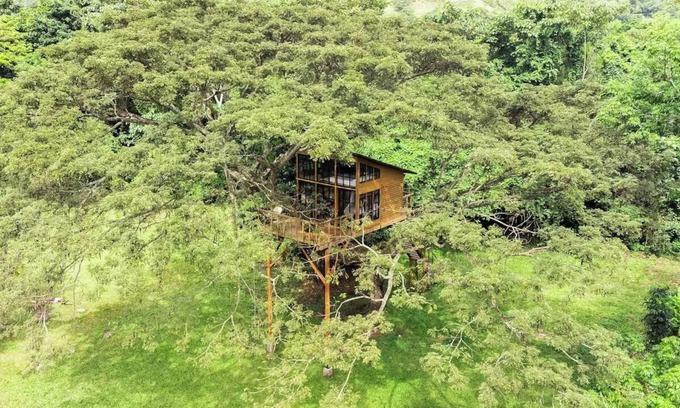 Utica Casa | Casa en el Árbol cerca a Bogotá SOPHIA