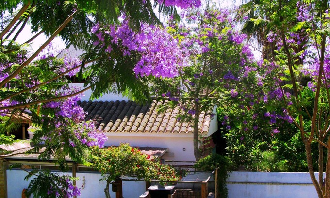 Conil de la Frontera Cabaña | Casa en Roche (Conil) con jardín, BBQ y wifi gratis a 10 min andando de la playa