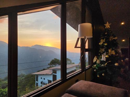 Tuba Casa | House of Joe - Pinewoods