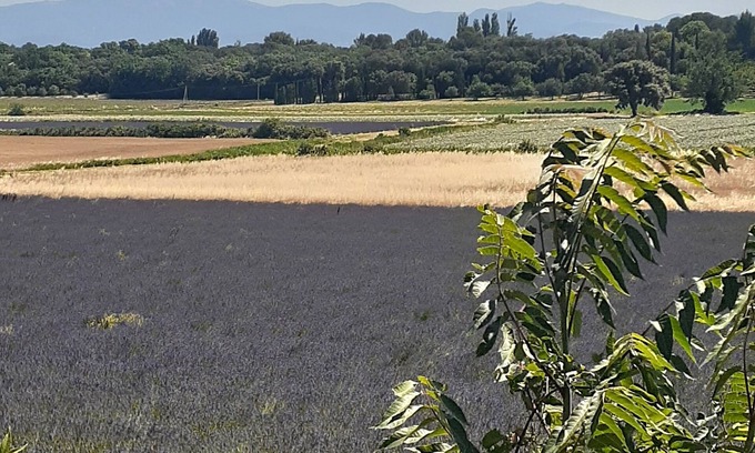 Suze-la-Rousse Casa | HOUSE sleeping 10 to 12 in Provence