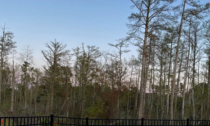 Belville Casa | Huge Family House, Hot Tub, Firepit, Basketball, Sandbox