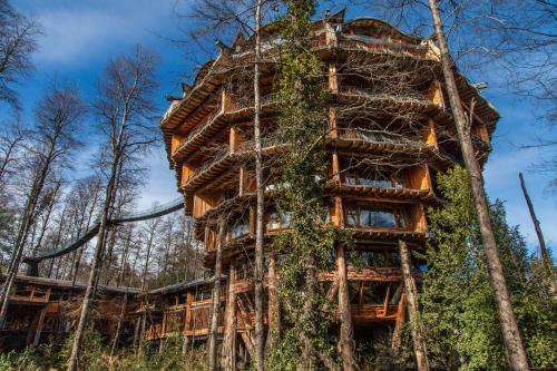 Neltume Cabina | Huilo Huilo Nothofagus Hotel & Spa