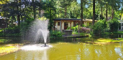 Municipality of Elburg Chalet De Esquí | Huisje Vijverzicht Veluwe