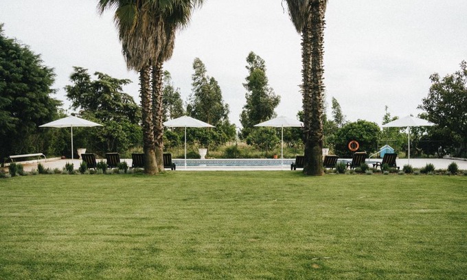 Palmela Casa | Humus Farm