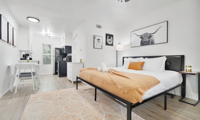 Hyde Park Apartamento | Hyde Park Gem–Modern Studio Near UT & Downtown