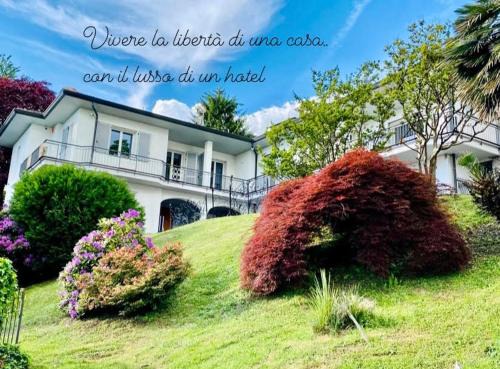 Como Casa | i FAGGI ROSSI - RED BEECH TREES