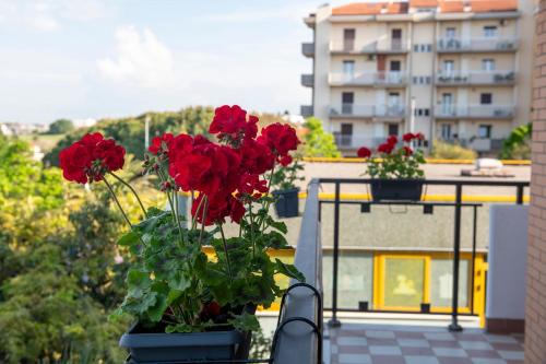 Termoli Apartamento | I Gerani