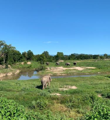 Tha Yang Complejo | I love phants Lodge