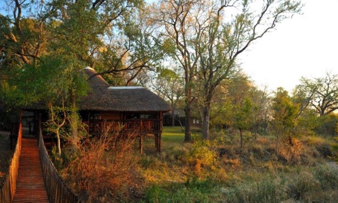 Thorny Bush Game Reserve Cabina | Idube Game Reserve