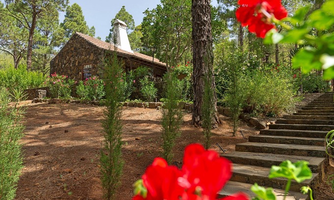 El Paso Casa | Idyllic volcanic stone chalet in a pine grove on the edge of the national park