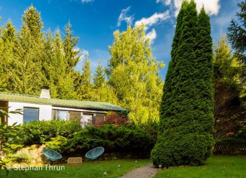 Langer Berg Casa | Idyllisches Ferienhaus am Wald