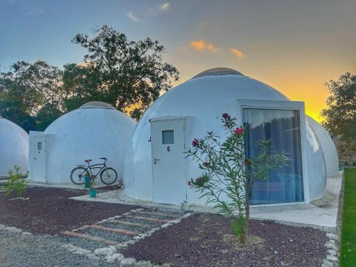 Barra de Navidad Apartamento | Iglú Barba Roja con vista al cielo