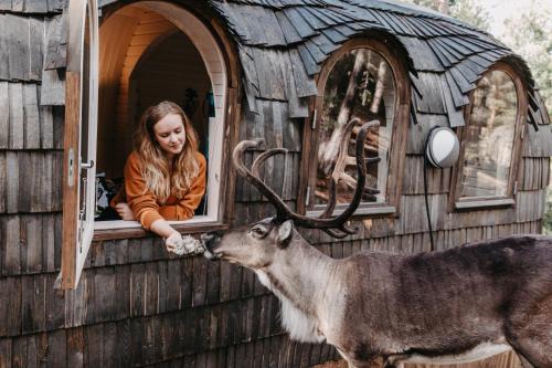 Espoo Casa | Igluhut – Sleep with reindeer