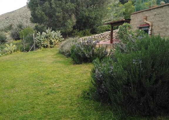 Castelluzzo Casa | il corbezzolo