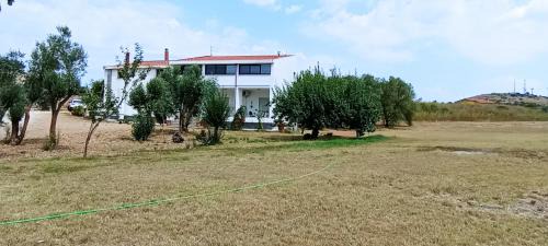 Florinas Cama Y Desayuno | Il giardino del Sole