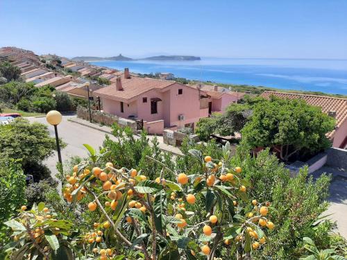 Funtana Meiga Apartamento | Il giglio vista mare