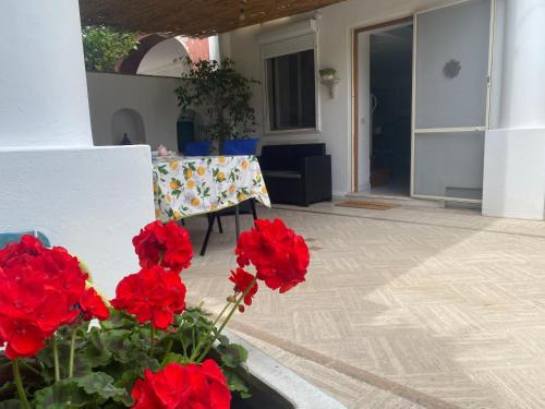 Tiberio Apartamento | Il piccolo Sogno