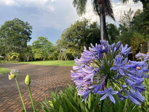White River Casa | ilanda Guest House