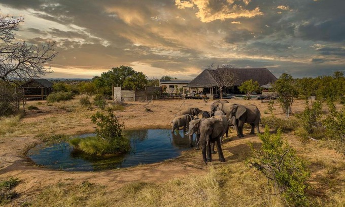 Hoedspruit Cabina | Imagine Africa Luxury Tented Camp