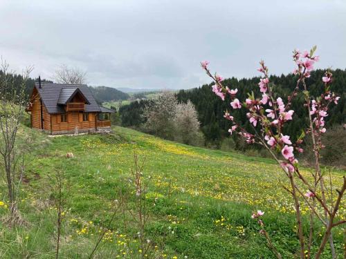 Zlatibor Casa | Imanje Mir