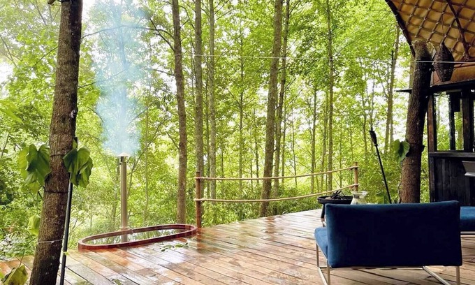 Xico Casa | ¡Sumérgete en el bosque! (Citlalapa)