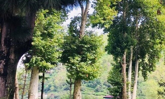 Miandam Hotel | Imperial Hotel Miandam