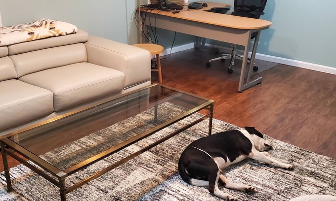 Hartford Apartamento | In Law apt minutes from Downtown Hartford
