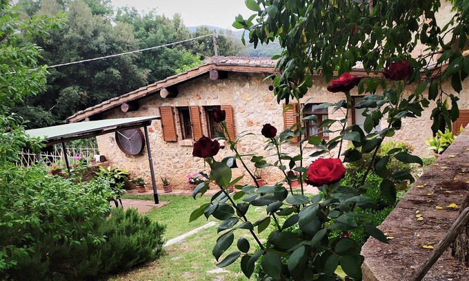 Sovicille Cabaña | Cerca de Siena, hermosa casa rural para 2-4 personas, con jardín y piscina