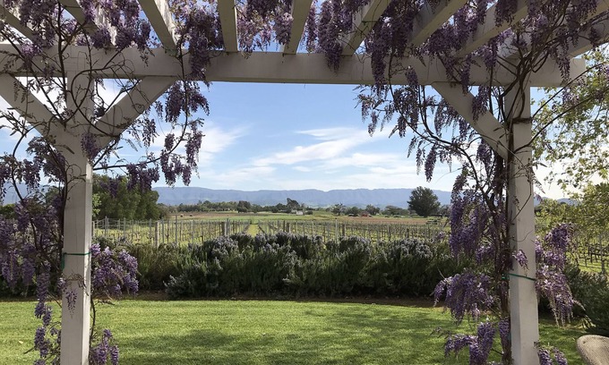 Solvang Cabaña | ¡En el corazón de Los Olivos, país de vinos de lujo, en nuestro viñedo!