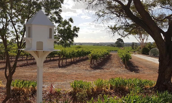 Penrice Apartamento | 'In The Vines' Guest Cottage, Barossa Valley
