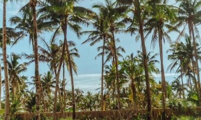 General Luna Hotel | INARA Siargao