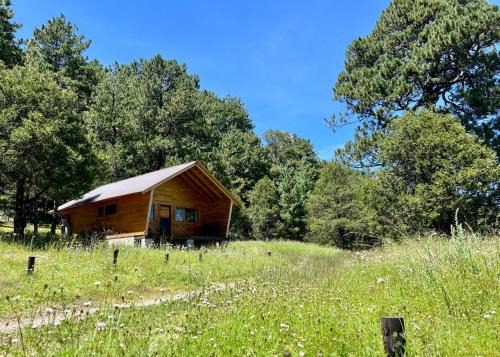 Pueblo Nuevo Chalet De Esquí | Increíble Cabaña de Montaña Parque La Pirámide