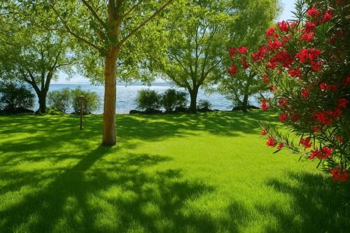 Lake Bracciano Otro | International Glamping Lago Di Bracciano
