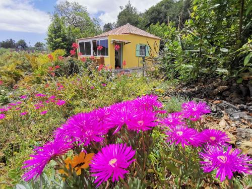Brena Baja Apartamento | Iraña del bosque