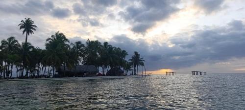 Carti Tupile Otro | Isla San Blas Pugsudub