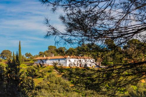 Villaviciosa de Cordoba Casa | Isla Virgen