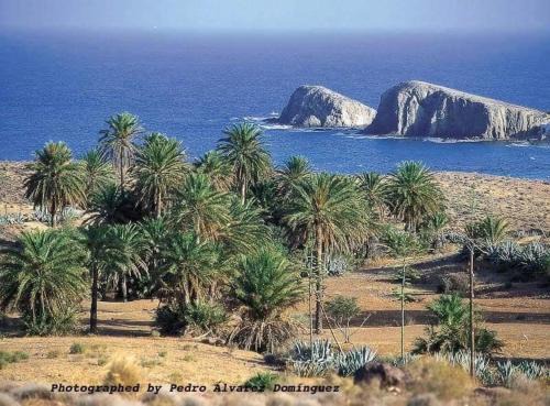La Isleta del Moro Apartamento | isleta del Moro Daniel