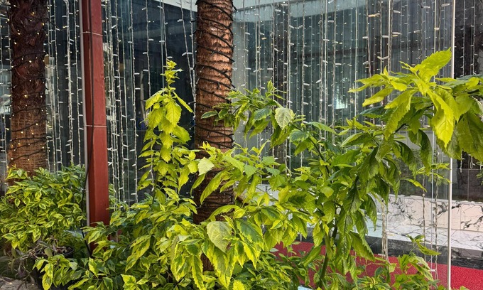 Ust Bostanci Hotel | Istanblu Hotel Atasehir