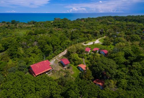 Las Uvas Casa | Istmo Beach and Jungle Bungalows