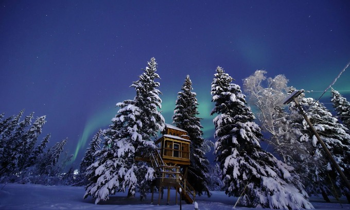 College Casa | It is a tiny home in the treehouse located in the middle of Fairbanks.