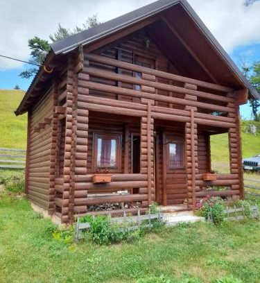 Montenegro Apartamento | - Ivanovici Rudo brdo