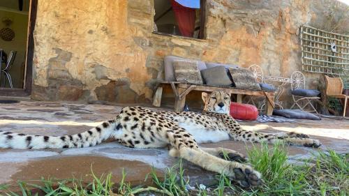 Cederberg Casa | Iziba Principality