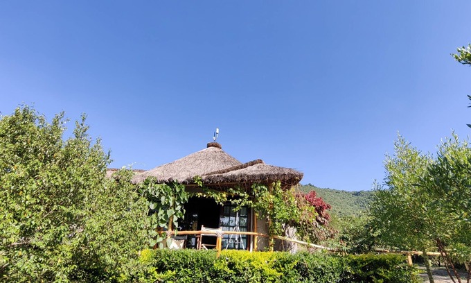 Mara North Conservancy Otro | Jacaranda Bush Camp