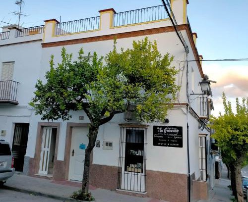 Prado del Rey Casa | Jacaranda